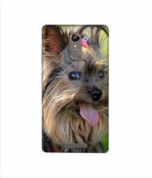 Amazon Brand - Solimo Designer Hairy Puppy 3D Printed Hard Back Case Mobile Cover for Gionee S6s