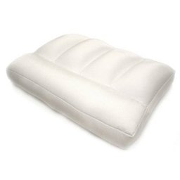 Pinzon Micro Bead Medium Density Therapy Pillow with Cover