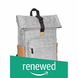 (Renewed) AmazonBasics Anti-Theft Roll Top Backpack - Grey