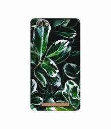 Amazon Brand - Solimo Designer Leaf Imperation 3D Printed Hard Back Case Mobile Cover for Gionee Marathon M5 lite