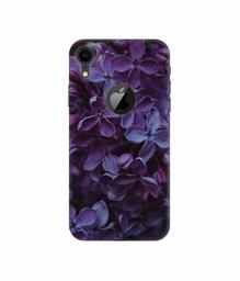 Amazon Brand - Solimo Designer Purple Flowers 3D Printed Hard Back Case Mobile Cover for Apple iPhone XR (Logo Cut)