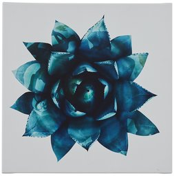 Amazon Brand – Rivet Ripple Teal Succulent Canvas Print Wall Art Decor, 12