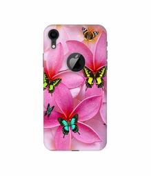 Amazon Brand - Solimo Designer B-Butterflies 3D Printed Hard Back Case Mobile Cover for Apple iPhone XR (Logo Cut)