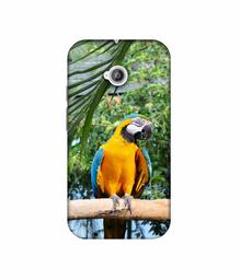 Amazon Brand - Solimo Designer Macaw Bird 3D Printed Hard Back Case Mobile Cover for Motorola Moto E 2nd Generation