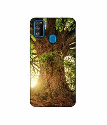 Amazon Brand - Solimo Designer Tree Trunk 3D Printed Hard Back Case Mobile Cover for Samsung Galaxy M21 / M30s