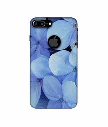 Amazon Brand - Solimo Designer Light Blue Flower Photography 3D Printed Hard Back Case Mobile Cover for Apple iPhone 7 Plus (Logo Cut)