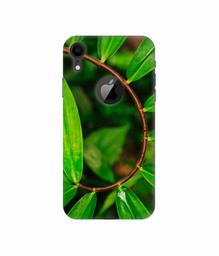 Amazon Brand - Solimo Designer Leaf Photography 3D Printed Hard Back Case Mobile Cover for Apple iPhone XR (Logo Cut)