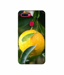 Amazon Brand - Solimo Designer Lemon 3D Printed Hard Back Case Mobile Cover for Oppo F9