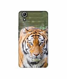 Amazon Brand - Solimo Designer Tiger in Water 3D Printed Hard Back Case Mobile Cover for Micromax Canvas Selfie 2 Q340