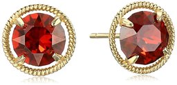 Amazon Collection10k Gold Made with Swarovski Birthstone January Stud Earrings