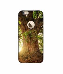 Amazon Brand - Solimo Designer Tree Trunk 3D Printed Hard Back Case Mobile Cover for Apple iPhone 6 / 6S (Logo Cut)