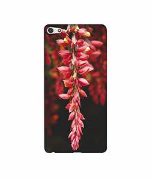 Amazon Brand - Solimo Designer Flowers Photograpy 3D Printed Hard Back Case Mobile Cover for Gionee Elife S7