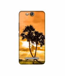 Amazon Brand - Solimo Designer SunSide View 3D Printed Hard Back Case Mobile Cover for Micromax Canvas Juice 3 Q392