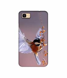 Amazon Brand - Solimo Designer Bird 3D Printed Hard Back Case Mobile Cover for Asus Zenfone 3S Max