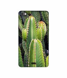 Amazon Brand - Solimo Designer Desert Plant 3D Printed Hard Back Case Mobile Cover for Micromax Canvas Sliver 5 Q450