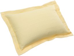 Pinzon Avalon Matelasse Jacquard Sham - European, Yellow