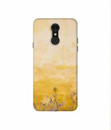 Amazon Brand - Solimo Designer Dry Flower On Wall 3D Printed Hard Back Case Mobile Cover for LG Q7