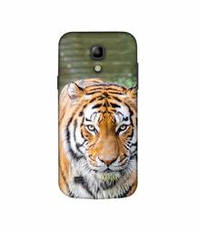 Amazon Brand - Solimo Designer Tiger in Water 3D Printed Hard Back Case Mobile Cover for Samsung Galaxy S4 Mini