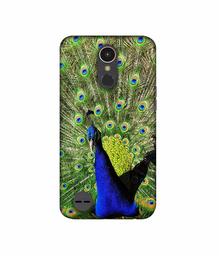 Amazon Brand - Solimo Designer Peacock 3D Printed Hard Back Case Mobile Cover for LG K10 (2017)