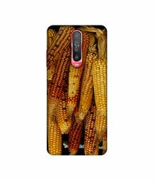 Amazon Brand - Solimo Designer Corns 3D Printed Hard Back Case Mobile Cover for Poco X2 / Mi Redmi K30