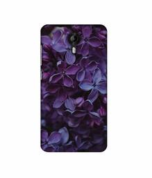 Amazon Brand - Solimo Designer Purple Flowers 3D Printed Hard Back Case Mobile Cover for Micromax Canvas Nitro 4G E455