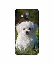 Amazon Brand - Solimo Designer White Dog 3D Printed Hard Back Case Mobile Cover for Samsung Galaxy J7 Duo