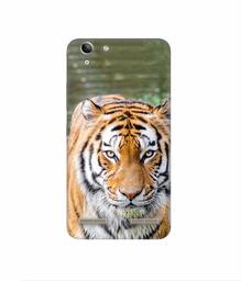 Amazon Brand - Solimo Designer Tiger in Water 3D Printed Hard Back Case Mobile Cover for Lenovo Vibe K5