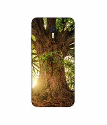 Amazon Brand - Solimo Designer Tree Trunk 3D Printed Hard Back Case Mobile Cover for Meizu M3 Note