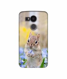 Amazon Brand - Solimo Designer Squirrel 3D Printed Hard Back Case Mobile Cover for LG Nexus 5X