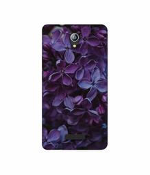 Amazon Brand - Solimo Designer Purple Flowers 3D Printed Hard Back Case Mobile Cover for Micromax Canvas Pace 4G Q416