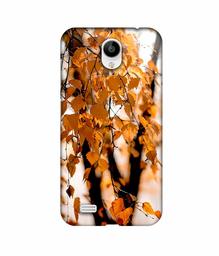 Amazon Brand - Solimo Designer Autumn Photography 3D Printed Hard Back Case Mobile Cover for Vivo Y21L