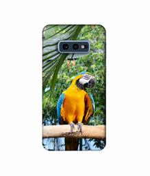 Amazon Brand - Solimo Designer Macaw Bird 3D Printed Hard Back Case Mobile Cover for Samsung Galaxy S10e