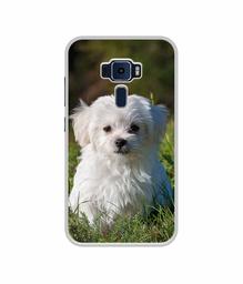 Amazon Brand - Solimo Designer White Dog UV Printed Soft Back Case Mobile Cover for Asus Zenfone 3 ZE520KL