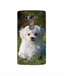 Amazon Brand - Solimo Designer White Dog 3D Printed Hard Back Case Mobile Cover for LG G4 Stylus