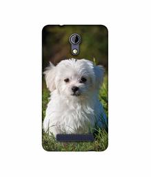 Amazon Brand - Solimo Designer White Dog UV Printed Soft Back Case Mobile Cover for Micromax Bharat 2 Q402