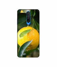 Amazon Brand - Solimo Designer Lemon 3D Printed Hard Back Case Mobile Cover for Mi Redmi K30