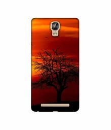 Amazon Brand - Solimo Designer Nature View 3D Printed Hard Back Case Mobile Cover for Gionee Marathon M5 Plus