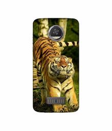 Amazon Brand - Solimo Designer Tiger 3D Printed Hard Back Case Mobile Cover for Moto Z2 Play