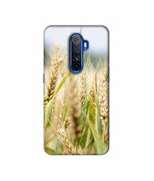 Amazon Brand - Solimo Designer Wheat Plant 3D Printed Hard Back Case Mobile Cover for Oppo Reno Ace/Realme X2 Pro