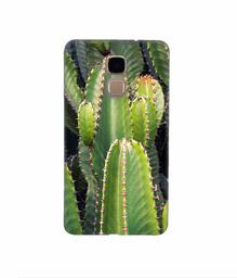 Amazon Brand - Solimo Designer Desert Plant 3D Printed Hard Back Case Mobile Cover for Huawei Honor 5c