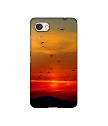 Amazon Brand - Solimo Designer Group Birds 3D Printed Hard Back Case Mobile Cover for Xiaomi Redmi Y1 Lite