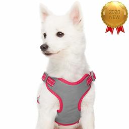 Umi. Essential Pastel Color Reflective Dog Harness