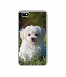 Amazon Brand - Solimo Designer White Dog UV Printed Soft Back Case Mobile Cover for Huawei Honor 4X