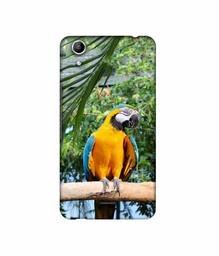 Amazon Brand - Solimo Designer Macaw Bird 3D Printed Hard Back Case Mobile Cover for Micromax Canvas Selfie Lens Q345