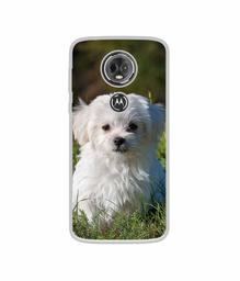 Amazon Brand - Solimo Designer White Dog UV Printed Soft Back Case Mobile Cover for Motorola Moto E5 Plus