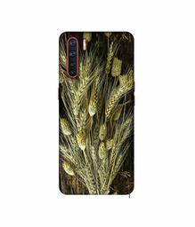 Amazon Brand - Solimo Designer Wheat Plants 3D Printed Hard Back Case Mobile Cover for Oppo A91