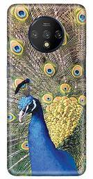 Amazon Brand - Solimo Designer Peacock Design 3D Printed Hard Back Case Mobile Cover for OnePlus 7T