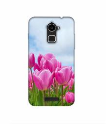 Amazon Brand - Solimo Designer Pink Lily 3D Printed Hard Back Case Mobile Cover for Coolpad Note 3 Lite