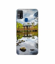 Amazon Brand - Solimo Designer Pebbles 3D Printed Hard Back Case Mobile Cover for Samsung Galaxy M31