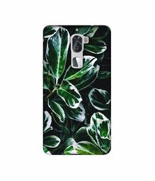 Amazon Brand - Solimo Designer Leaf Imperation 3D Printed Hard Back Case Mobile Cover for Coolpad Cool1 Dual